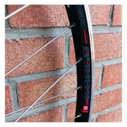 Roue Arrière Custom SeBike 29 Pouces 10v - Wheeling Bike -Magasin De Vélos roue arriere custom sebike 29 pouces 10v wheeling bike 4